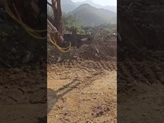 Hidrolik tip WuYing kazıcı yakalayıcı, Beş pençeli ahşap yakalayıcı, kazıcı için takım elbise